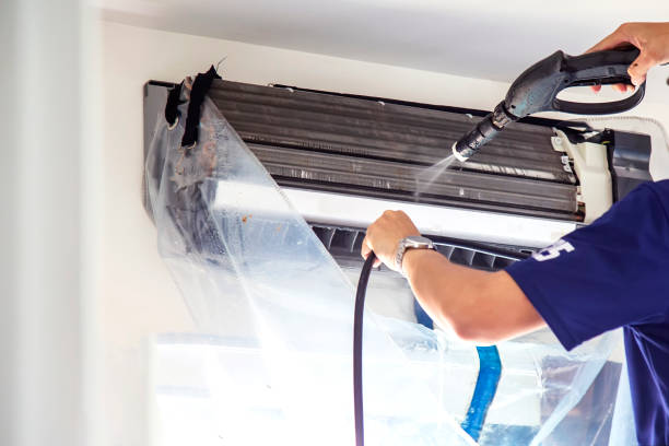 Best Air Duct Mold Removal  in Kearney Park, MS